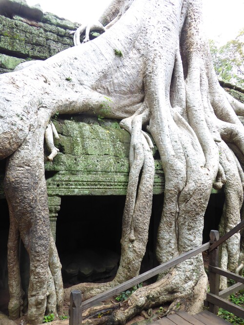 J14,Temples préangkoriens, 2,Siem Reap, Angkor, Cambodge