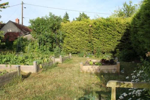 Le potager en plein boum