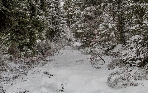 Séjour Super-Besse du 13 au 20 janvier 2019, JEAN-CLAUDE