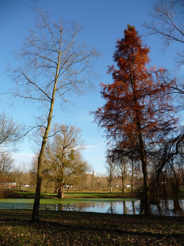 Un temps à photos !