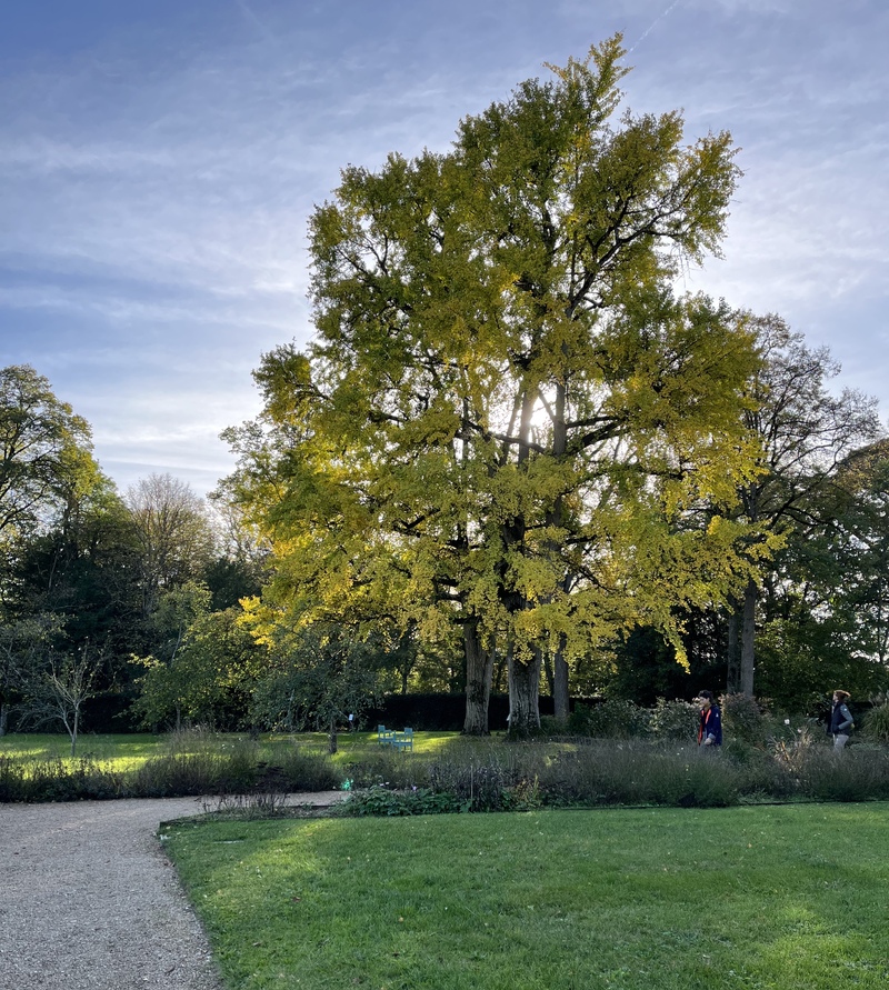 Vue sous le soleil d’automne 