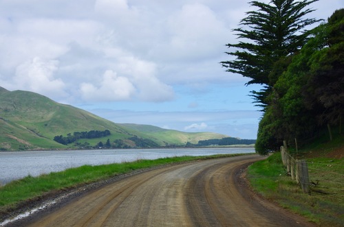 Jour 10 - Otago Peninsula