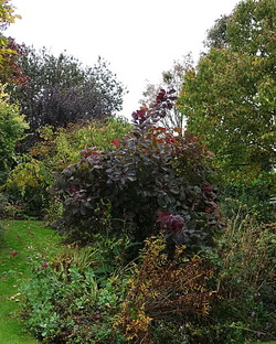 Couleurs d'automne aux jardins Amoena