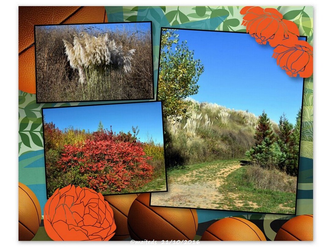 L'automne à Le Garric/Cagnac-les-Mines (81)