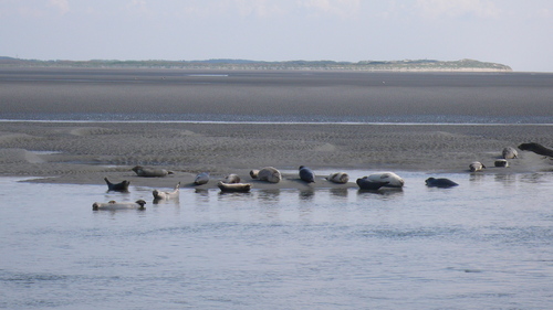 "En Baie de Somme" - Samedi 14 septembre 2024