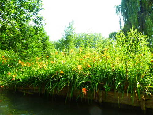   AMIENS    /     LES HORTILLONNAGES