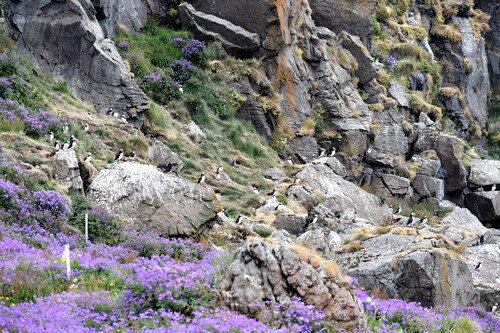 De Laugarhóll à Laugarhóll via Grímsey