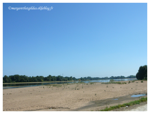 L'été revient - The summer is coming back