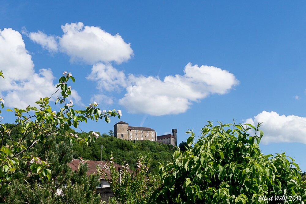 Sur la route des fleurs - Cressia - 2 - 39