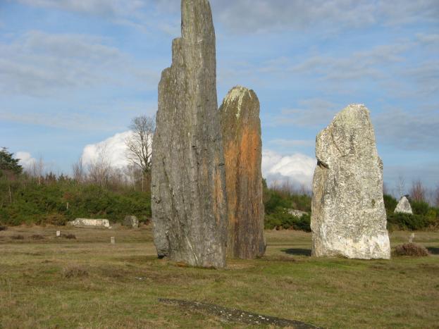 LANDES de CORJOUX en SAINT-JUST (35)