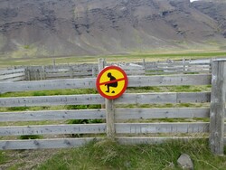 15 juin, de Búðardalur à Djúpidalur 