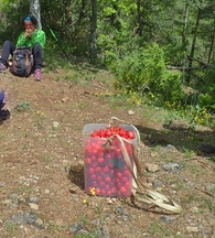 De Nant à Vellas par le Roc Nantais