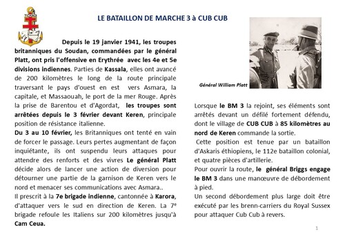 * 80e Anniversaire de la Campagne d'Erythrée (février-avril 1941) - 4 -Le Bataillon de Marche 3 combat à Cub-Cub 