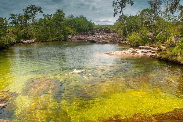 Le Cano Cristales en Colombie, une des plus belles rivières du monde...