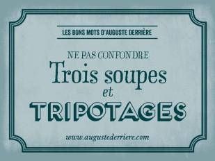 Humour: les jeux de mots d'Auguste Derrière - 44 images trip.jpg