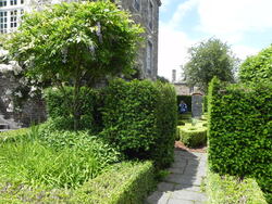 Le jardin de la rue du Lin 