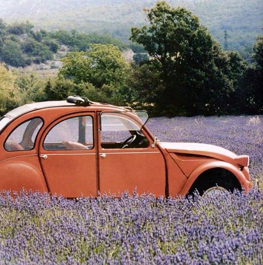 Photos  +  Cartes  Postales  2 cv