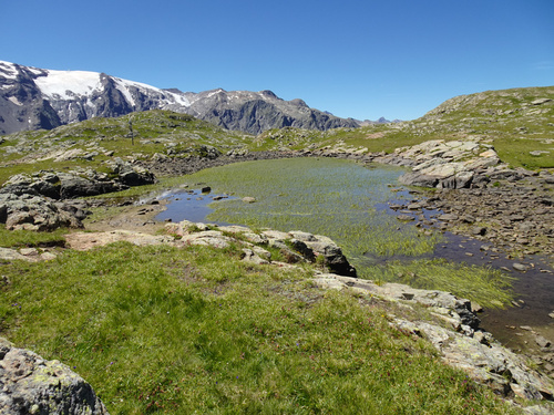 Alpes - Le Plateau d'Emparis (Oisans) 