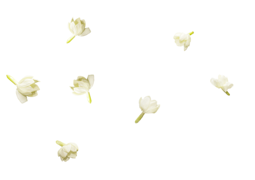 Fleurs en Farandole Série 11