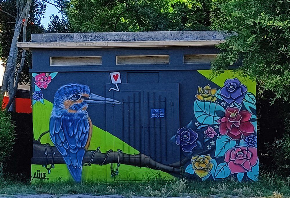 Street-art dans la ville : le martin-pêcheur...