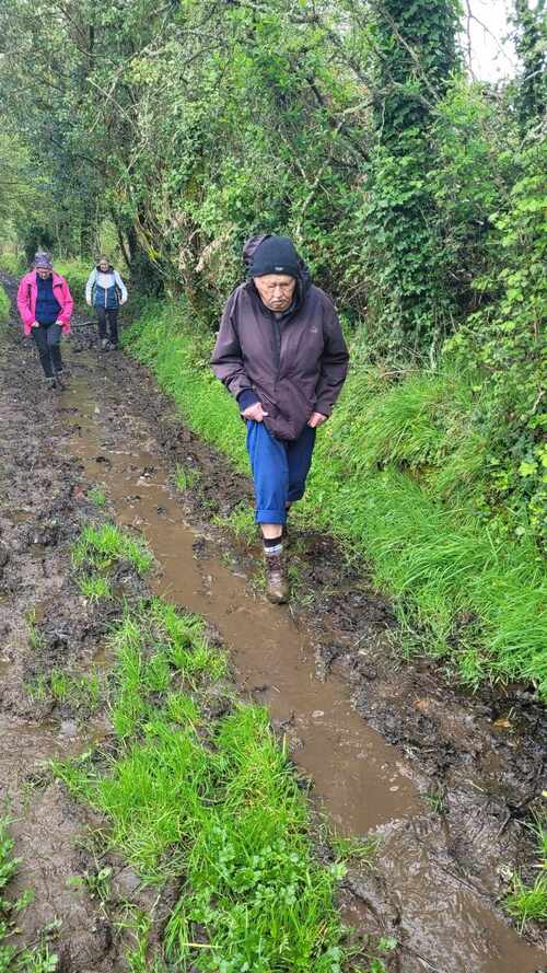 Rando au Bono le 04 04 2024 .11 randonneurs ont marché 11km sans pluie mais accompagnés par le chant du " coucou"  , dans une campagne plus qu'humide , voir gadouilleuse !!!!!