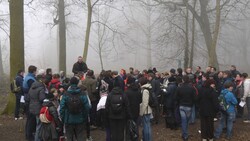 Parcours d'orientation en forêt de Phalempin