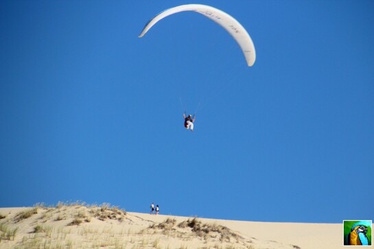 Tour du bassin d'Arcachon : 8 Dune du Pilat