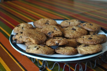 Palets bretons aux pépites de chocolat