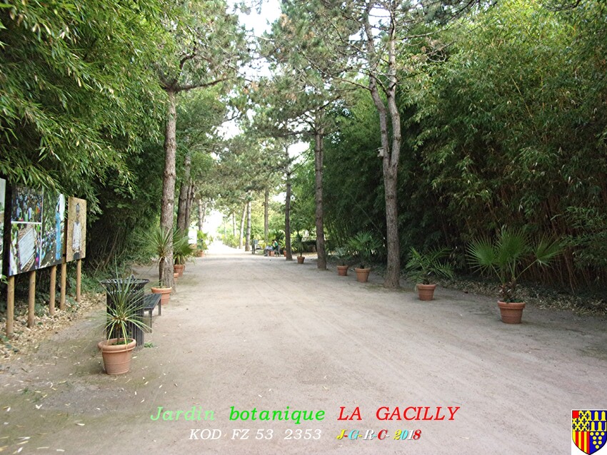 JARDIN BOTANIQUE Y-R  LA  GACILLY  3/4     D   17/07//2019        