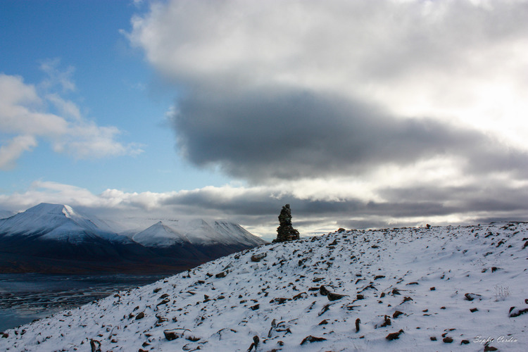 Batifolage dans la 1ere neige