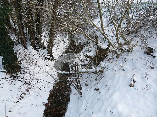 06-neige-2012.jpg