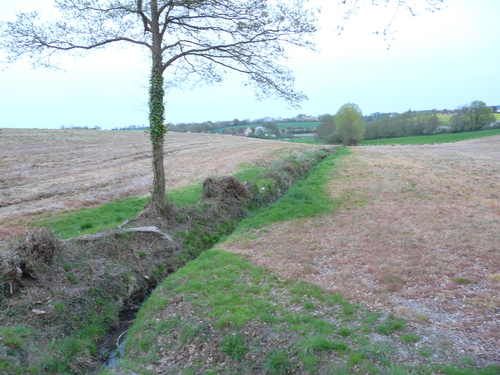 Round-up en bordure de cours d'eau, proche station d'épuration, Saint-Cyr-la-Rosière / Avril 2015