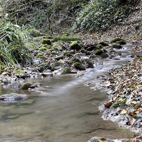 Le Nant Pechu (commune de la motte-servolex (73)