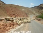 Magnifique séjour au Maroc