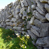 Iles d'Aran (Inishmore)