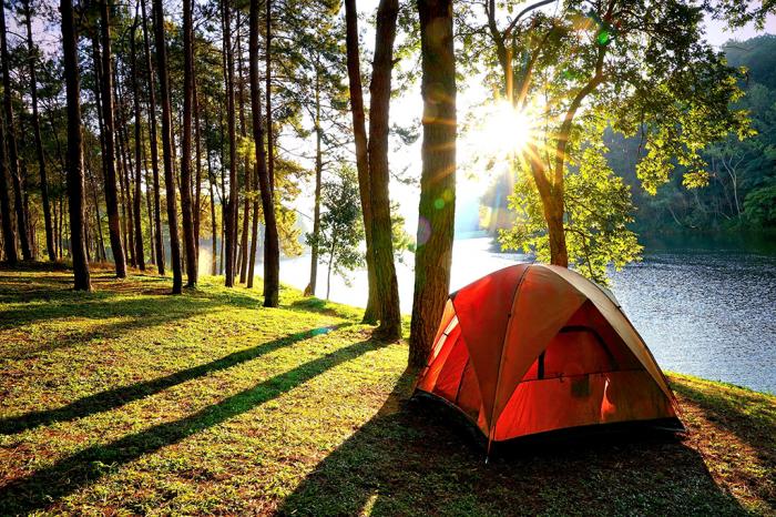 Les Touristes Débarquent Dans Les Laurentides -