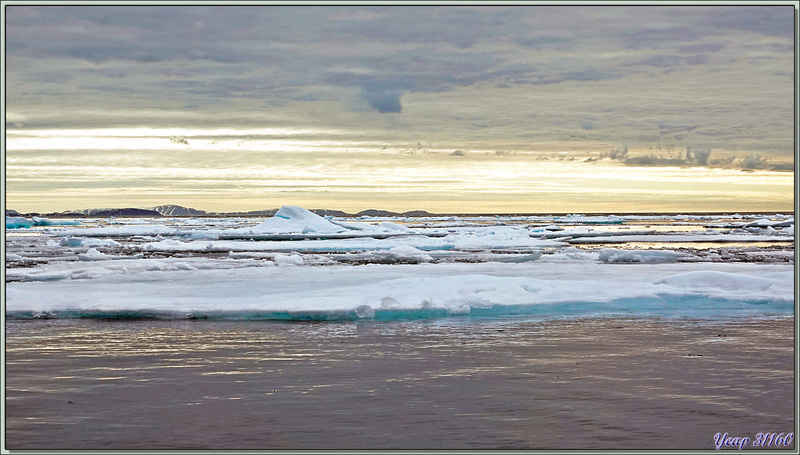 Vers17 h 30, annonce au micro avec une surprise non prévue au programme : balade en Zodiac et débarquement sur de la banquise ! - Région des Sjuøyane (Sept îles) - Svalbard - Norvège