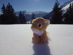 mascotte en montagne