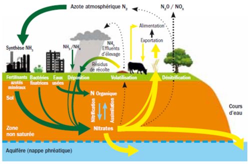 Pollution par les nitrates : protégeons mieux l'eau !