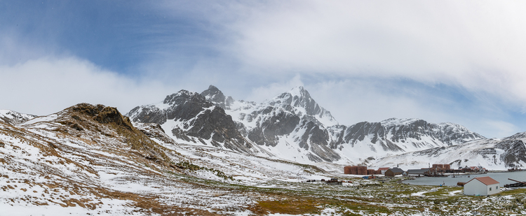 Grytviken, la suite