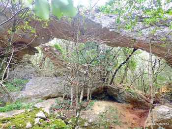 L'Arche de Garoute