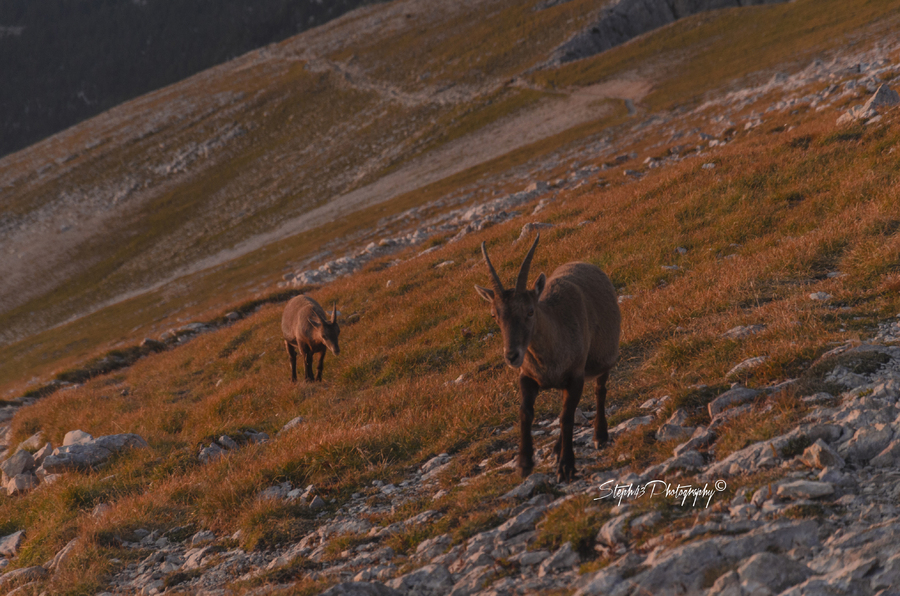 Soirée au Grand Veymont 