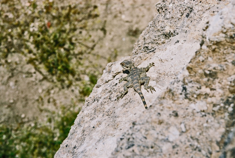 PHOTO DU JOUR samedi 31 octobre 2015