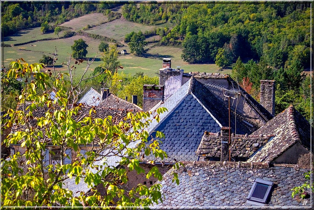 963 - Virée dans le Tarn et Garonne - Suite de Najac dans l'Aveyron (12)