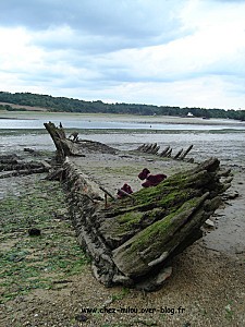 Bilo et Loba en Bretagne25