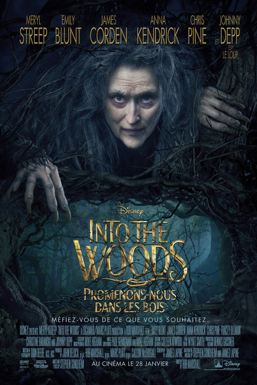 Into The Woods : la sorcière Meryl Streep s'affiche