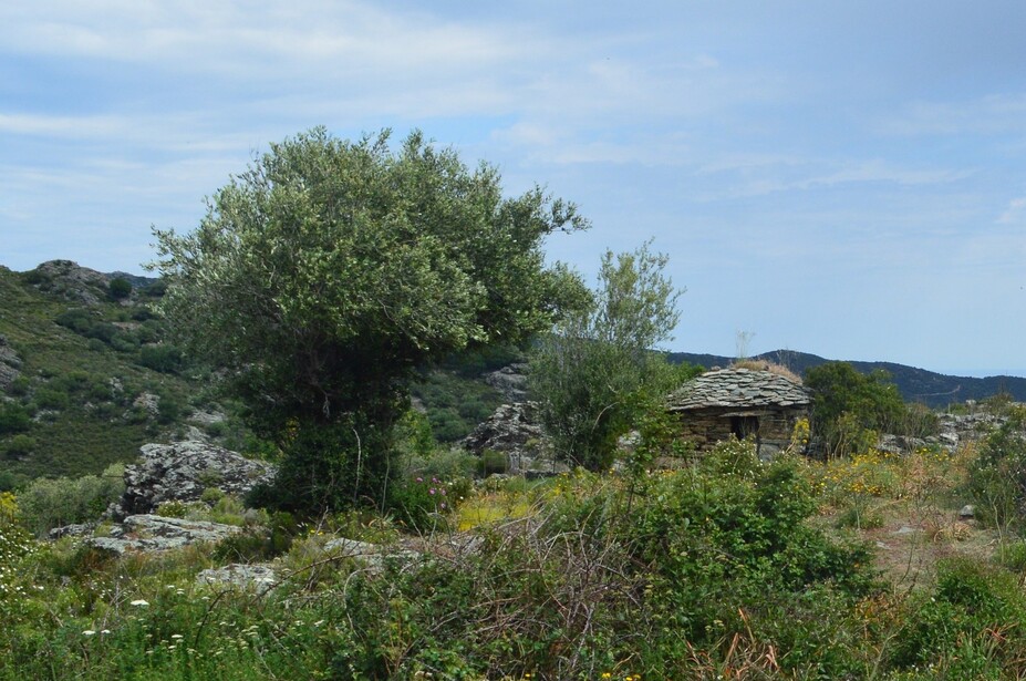 Dans le Nebbio : Sorio et San-Michele di Murato