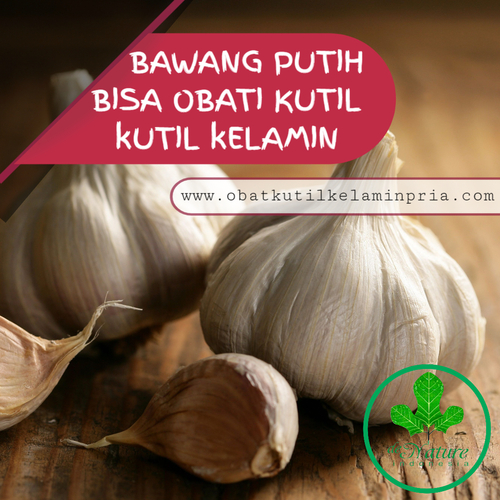 CARA MENGHILANGKAN KUTIL KELAMIN PRIA DENGAN BAWANG PUTIH