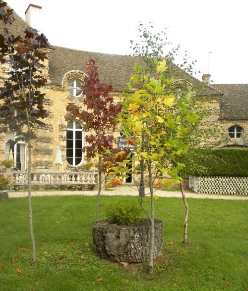                                          photos de notre visite en bourgogne 