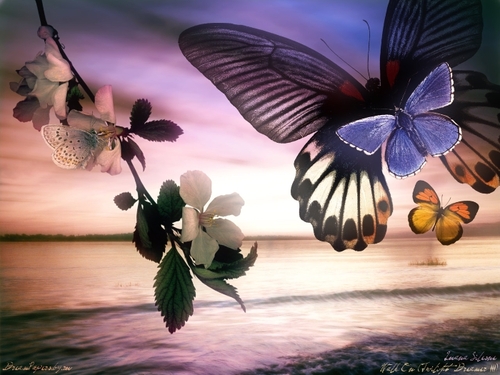 Sublimis Amoris -The Butterfly - Pedro Georges Eleftheriou 